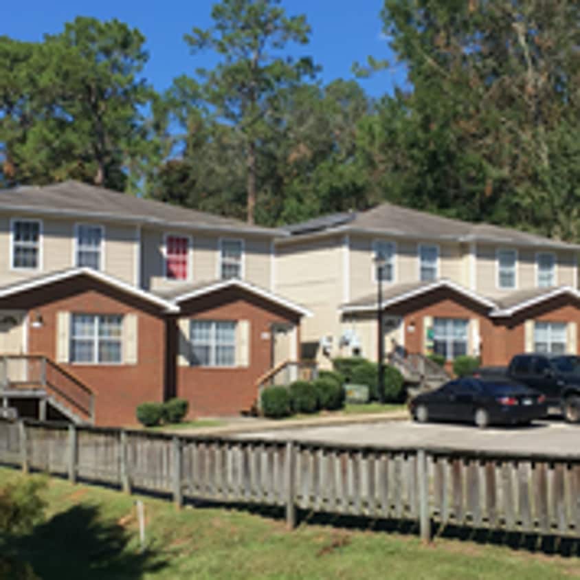 The Cove - 1081 - The Cove - 1081