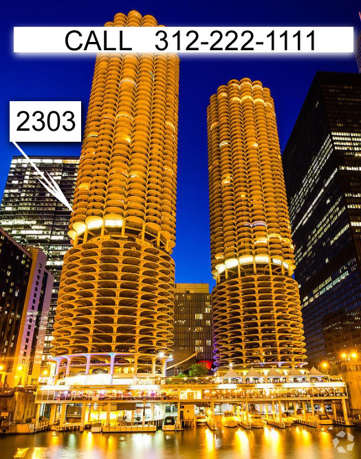 Unreal views won't last - 300 N State St Unit 2302 Rental