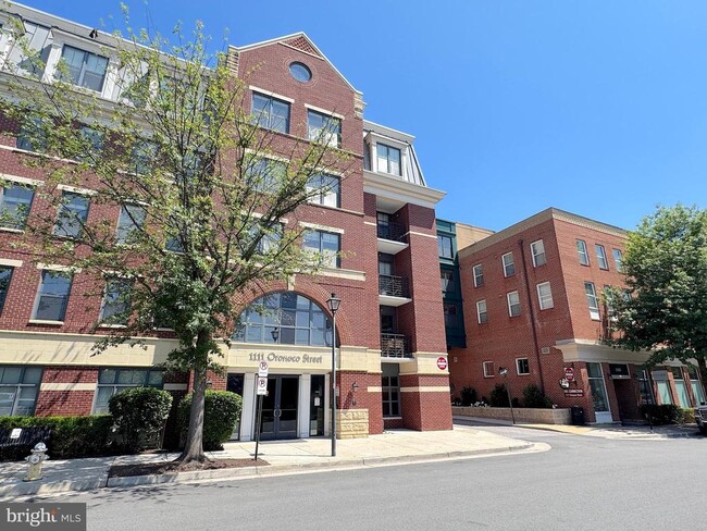 Building Photo - 1111 Oronoco St Unit 429