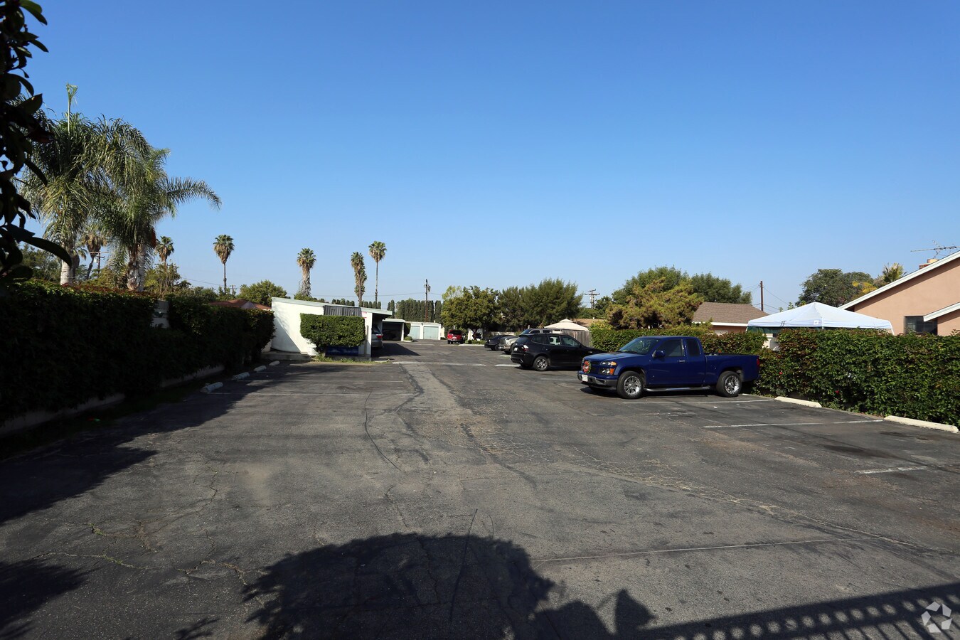 Photo - The Groves Apartments