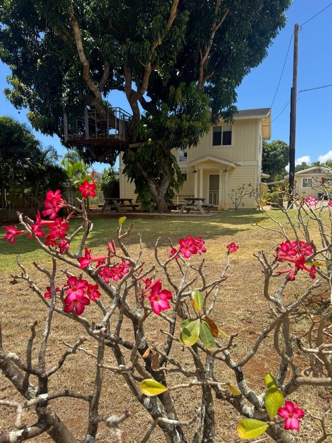 Newly Renovated 3/3 Home in Waialua - Newly Renovated 3/3 Home in Waialua