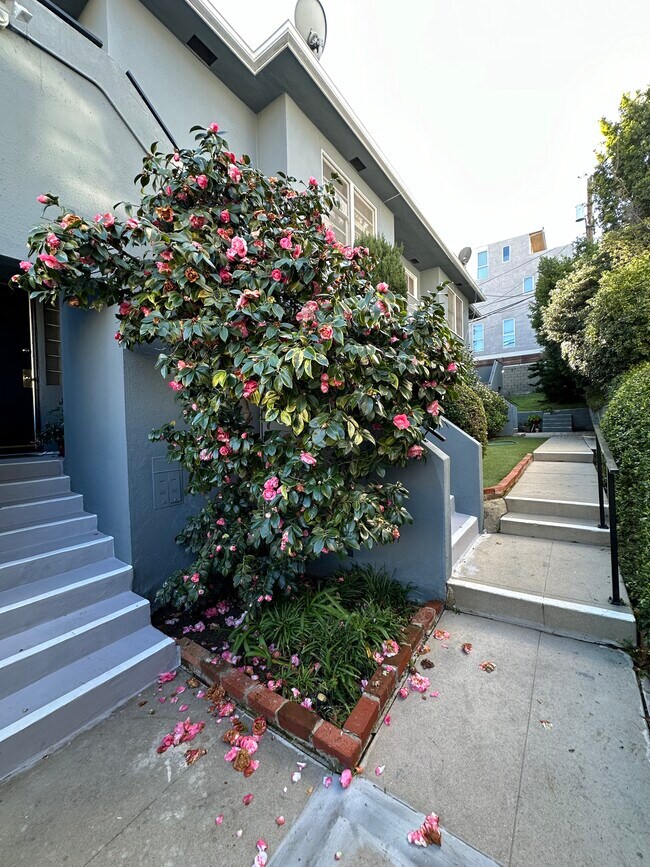 Photo - 1851 S Beverly Glen Blvd