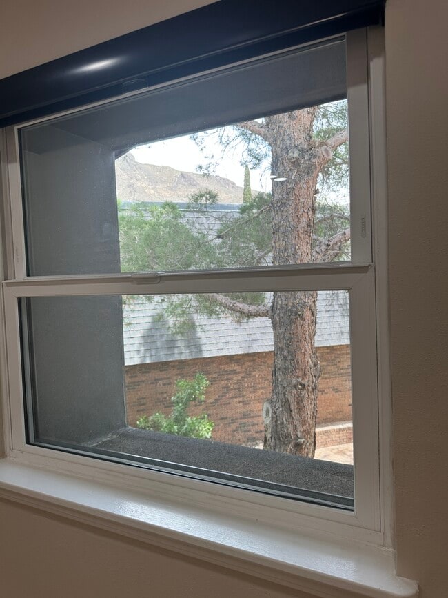 View from bedroom window - 4800 N Stanton St Unit CamelotCondo 42