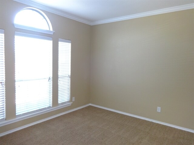 Photo - 3313 Buckthorn Ln