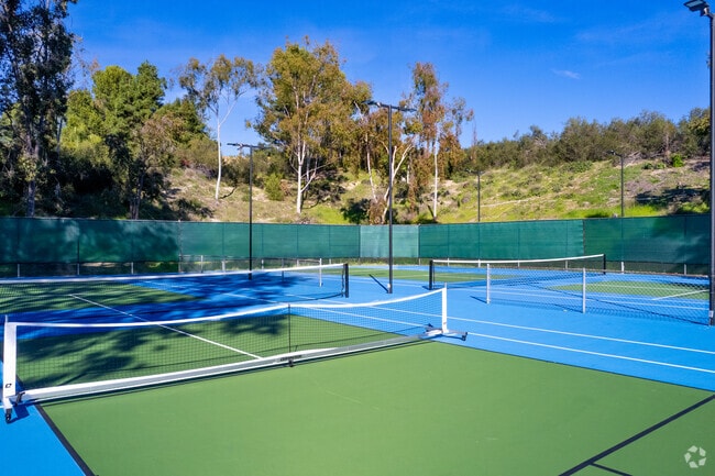 Lighted Pickleball Court