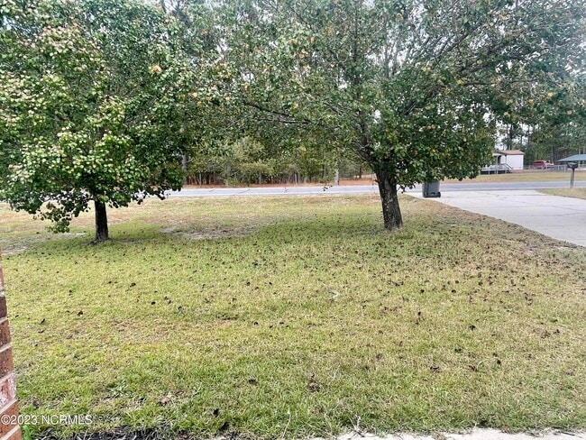 Photo - 562 Wiregrass Rd