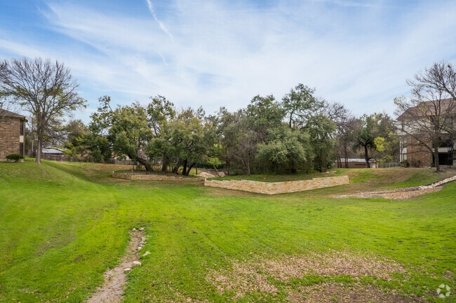 Dog Park