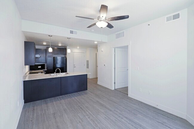 Kitchen / Living Room