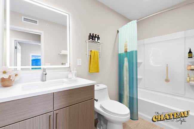 One Bedroom Bathroom - Chateau Apartments