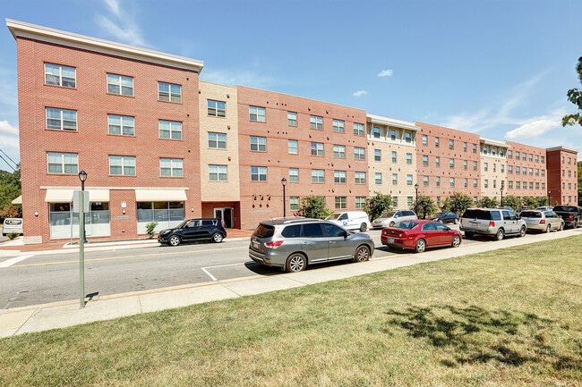 Photo - Freedman Point