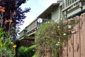 Photo - Leslie Drive Apartments