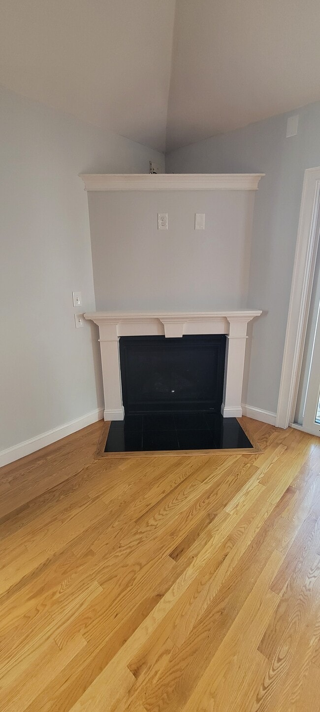 Gas Fireplace - 46 Newport St Unit 46 Newport St  #2