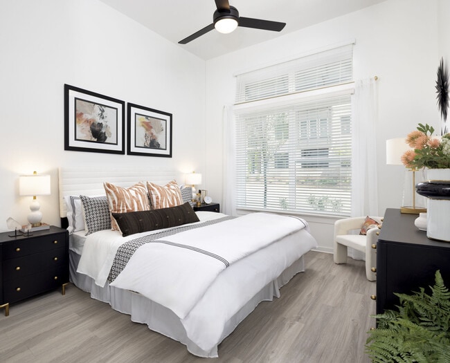 Camden South Charlotte