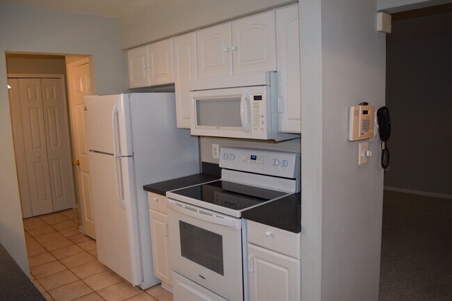 Kitchen pic2 - 24503 Olde Orchard St Unidad 9