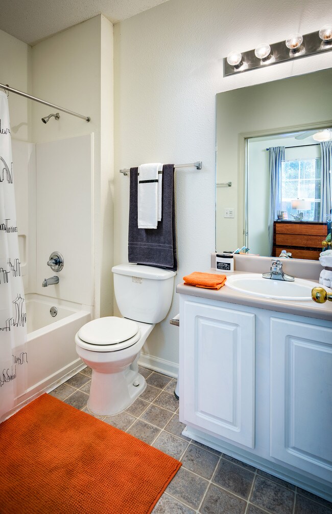 Modern Bathroom