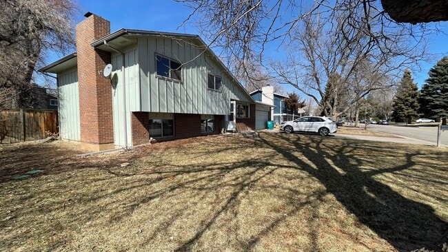 Photo - Great House In Fort Collins