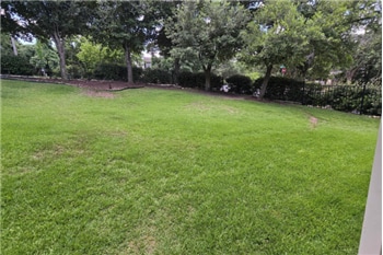 Photo - 10703 Misting Falls Trail