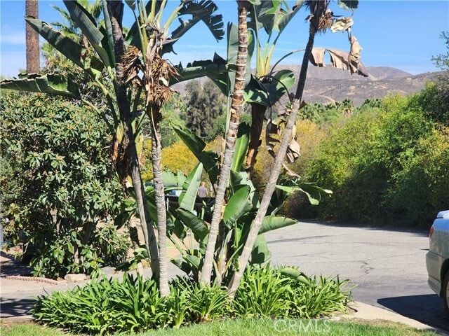 Photo - 7891 Minnesota Rd