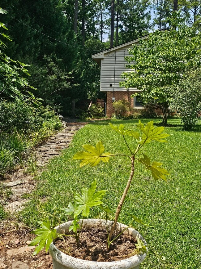 Photo - 3212 Fairforest Pl