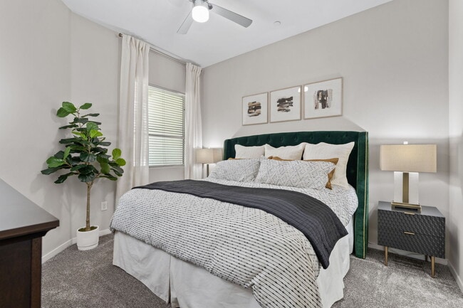 Photo - Axis Camelback