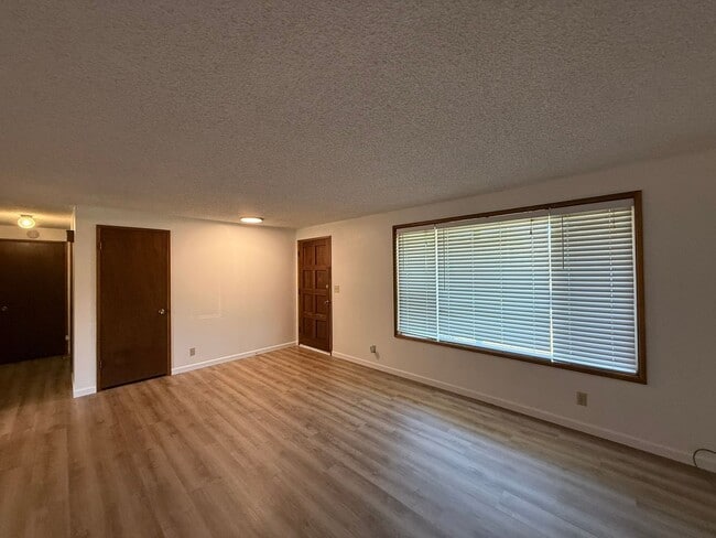 Photo - Santa Clara Gem