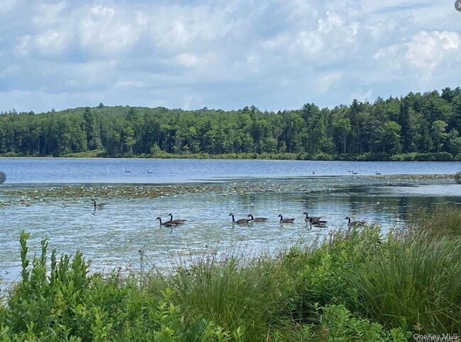 15 Bailey Lake Rd