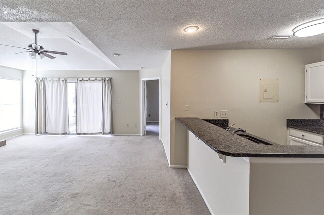 Photo - 18865 Vineyard Point Ln Unit #33