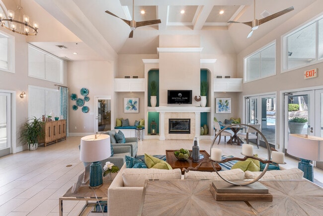 Photo - Central Park