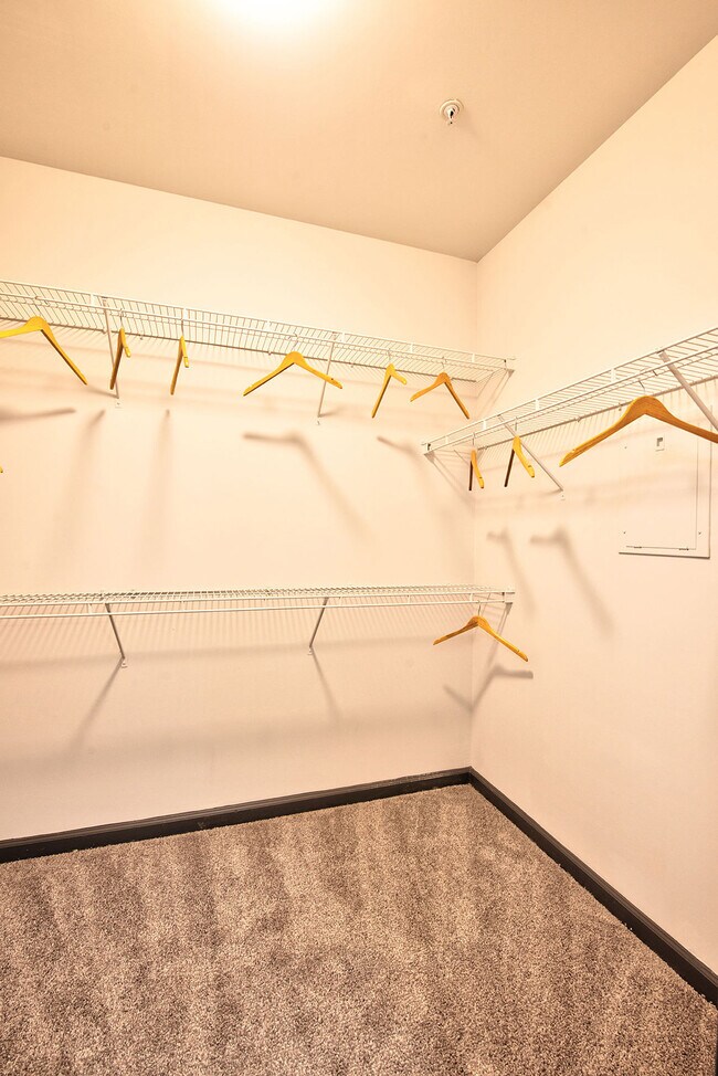 Cortland Duluth Apartments For Rent in Duluth, GA