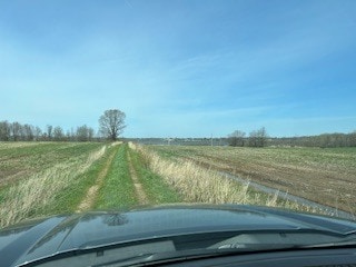 Photo - 40 Lake Shore Rd