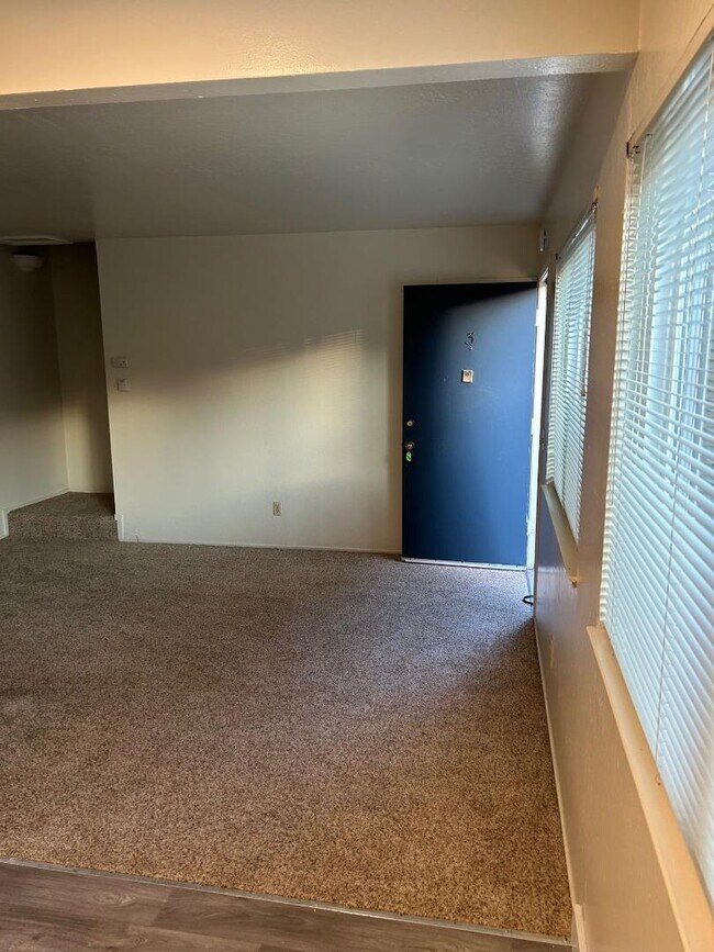 Photo - 133 Walti St