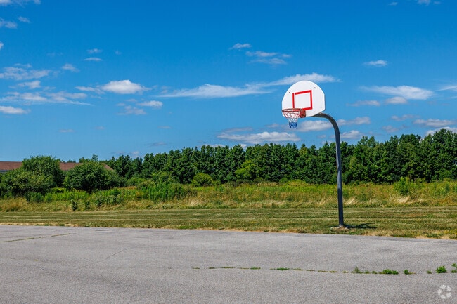 Cancha de baloncesto
