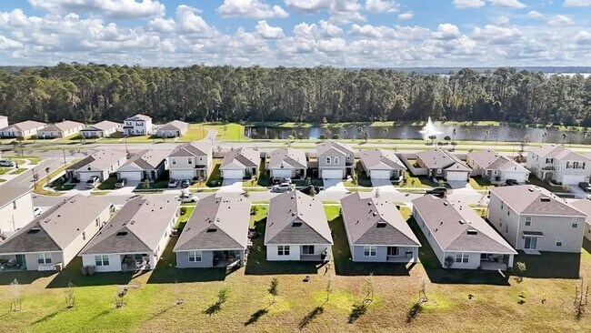 Photo - 2722 Reddish Egret Bnd