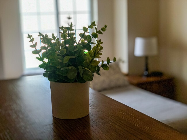 Furnished Apartment
