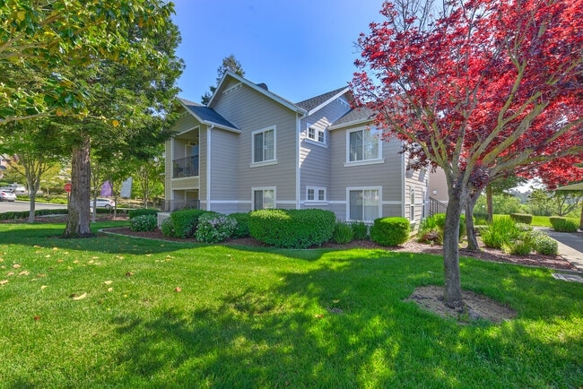 Bay Vista at Meadow Park