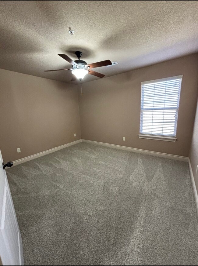 Photo - Branson Creek