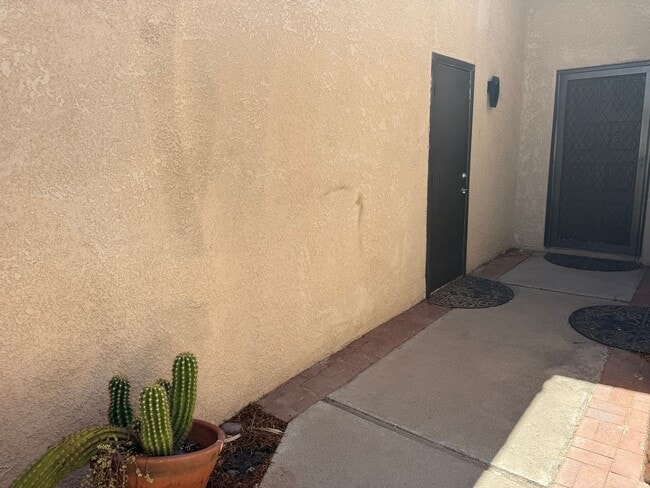 Photo - 639 N Richey Blvd