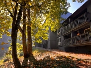 Forest Village Apartments