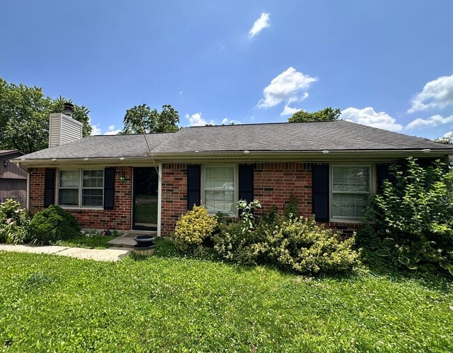 Building Photo - Lovely 3 BR House in South Lexington! New Paint & Flooring! Fenced Backyard, Off-Street Parking