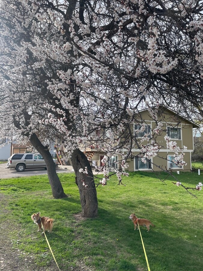 Franklin 4-Plex - Franklin 4-Plex Unit 3