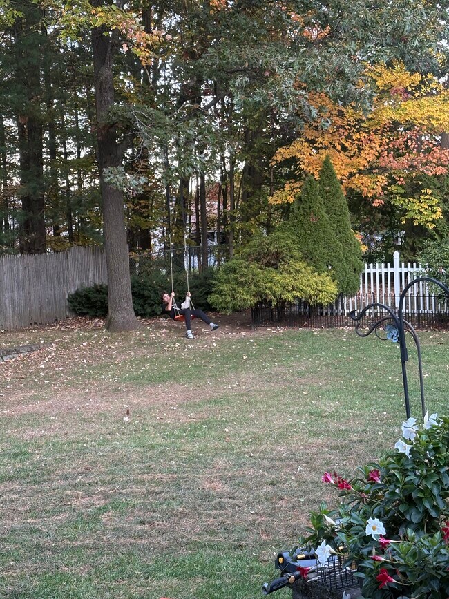 Photo - 65 Forman Dr