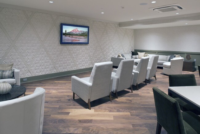 Club Lounge Widescreen TV Viewing Area