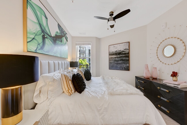 Photo - Ridley on Main