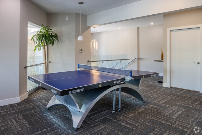 Ping-pong table