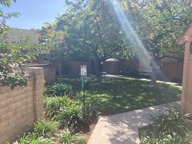 view on courtyard from front door - 138 S Bryn Mawr St Unit 30