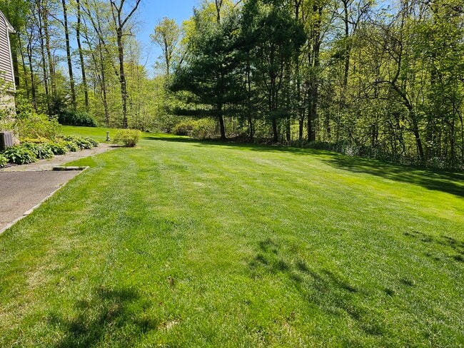 Photo - 27 Wilson Rd