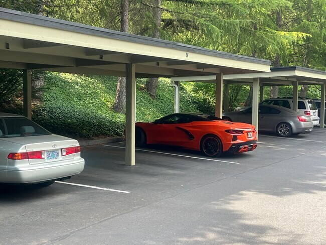 Photo - 5064 Foothills Dr Unidad A Rental