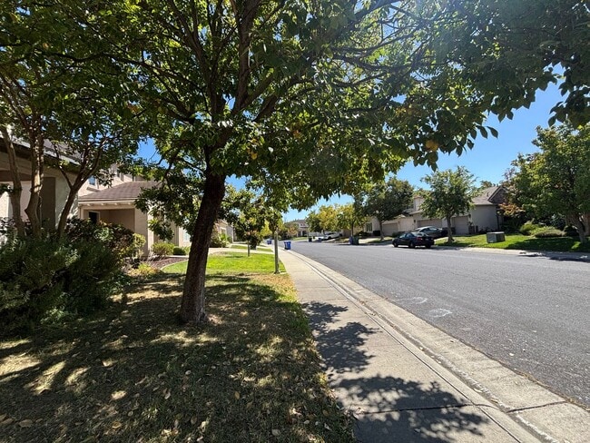9829 Waterfowl Dr