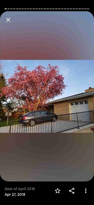 Photo - 3040 Pennsylvania Ave