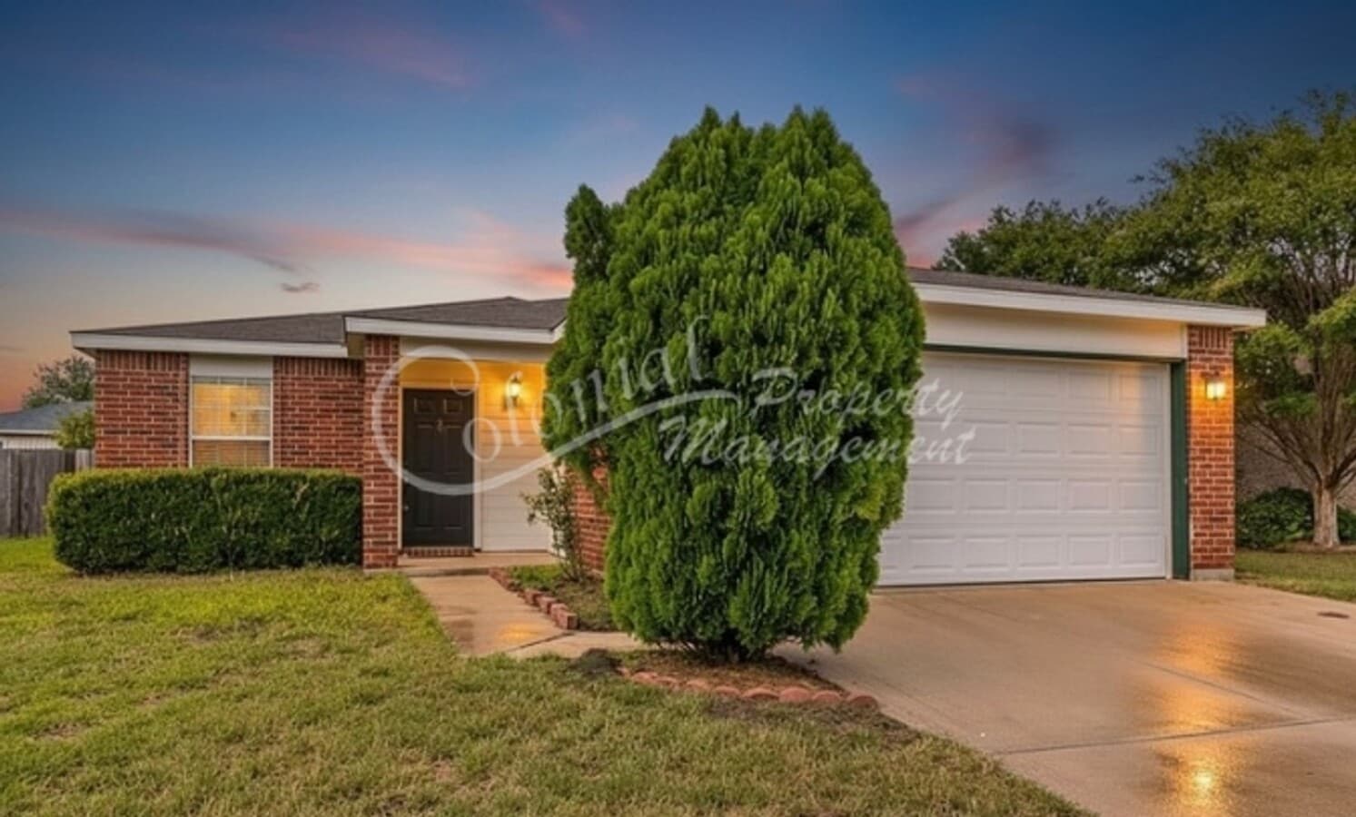 COMING SOON!! - COMING SOON!!